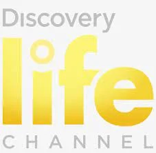 dlc-channel